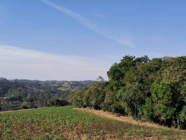 #10 - Sítio para Venda em Atibaia - SP